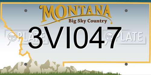 3VI047 Montana License Plate