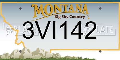 3VI142 Montana License Plate