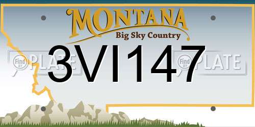 3VI147 Montana License Plate