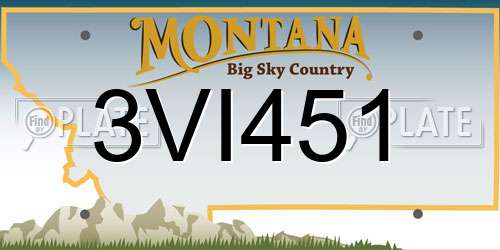 3VI451 Montana License Plate