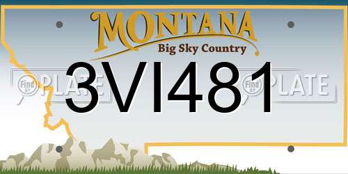 3VI481 Montana License Plate