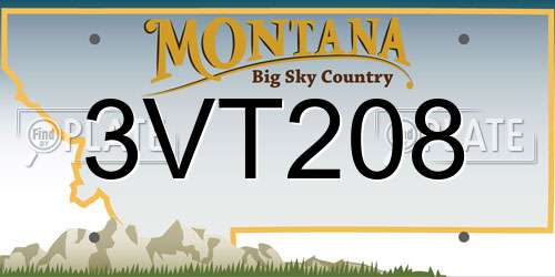 3VT208 Montana License Plate