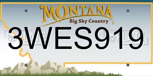 3WES919 Montana License Plate