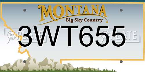 3WT655 Montana License Plate