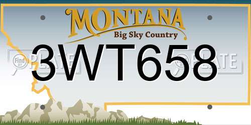 3WT658 Montana License Plate