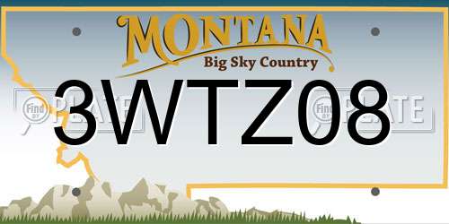 3WTZ08 Montana License Plate