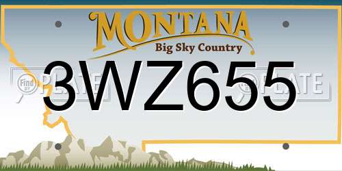 3WZ655 Montana License Plate