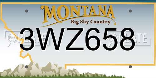 3WZ658 Montana License Plate