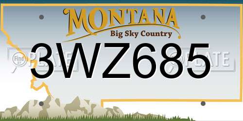 3WZ685 Montana License Plate