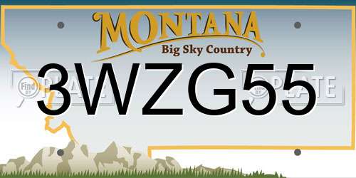 3WZG55 Montana License Plate