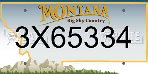 3X65334 Montana License Plate