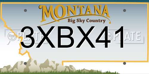 3XBX41 Montana License Plate