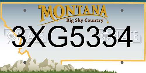 3XG5334 Montana License Plate