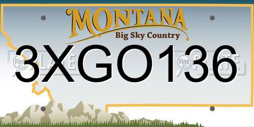 3XGO136 Montana License Plate