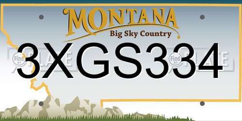 3XGS334 Montana License Plate