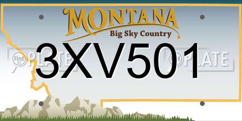 3XV501 Montana License Plate