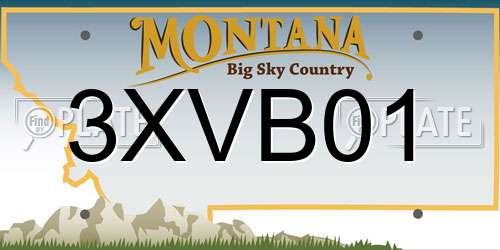 3XVB01 Montana License Plate