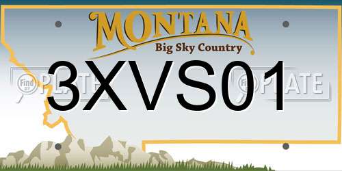 3XVS01 Montana License Plate