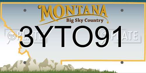 3YTO91 Montana License Plate