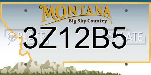 3Z12B5 Montana License Plate