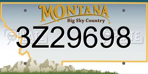 3Z29698 Montana License Plate
