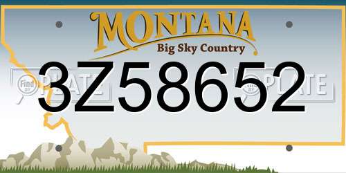 3Z58652 Montana License Plate