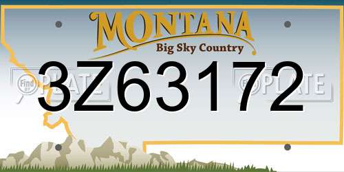 3Z63172 Montana License Plate