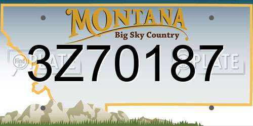 3Z70187 Montana License Plate