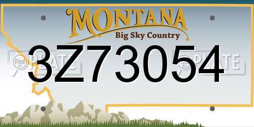 3Z73054 Montana License Plate