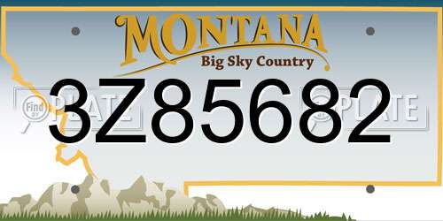 3Z85682 Montana License Plate