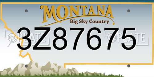 3Z87675 Montana License Plate