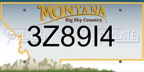 3Z89I4 Montana License Plate