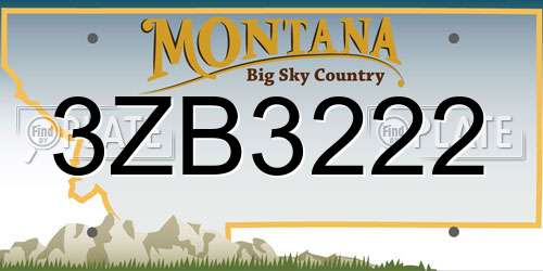 3ZB3222 Montana License Plate