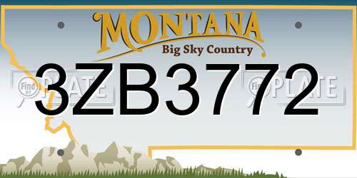 3ZB3772 Montana License Plate