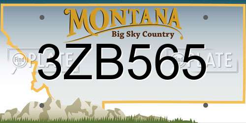 3ZB565 Montana License Plate