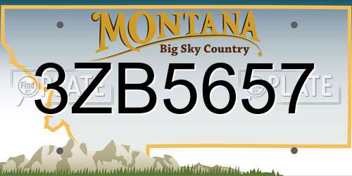 3ZB5657 Montana License Plate