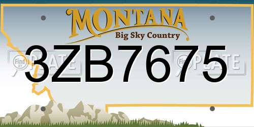 3ZB7675 Montana License Plate