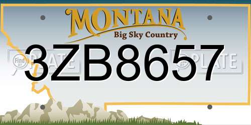 3ZB8657 Montana License Plate