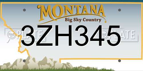 3ZH345 Montana License Plate