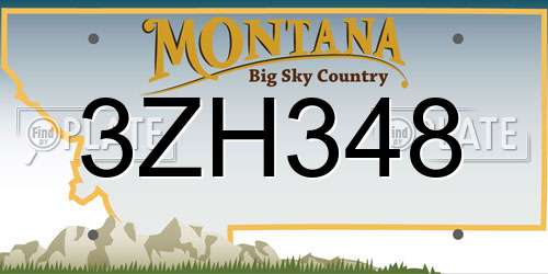 3ZH348 Montana License Plate