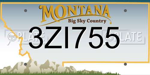 3ZI755 Montana License Plate