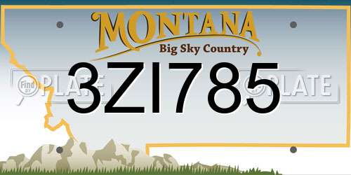 3ZI785 Montana License Plate