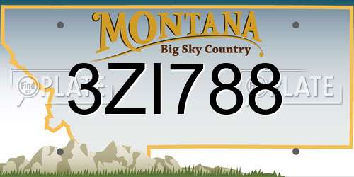 3ZI788 Montana License Plate