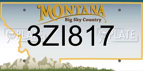 3ZI817 Montana License Plate