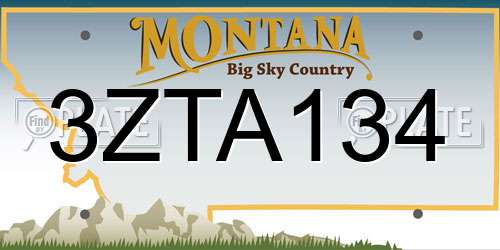 3ZTA134 Montana License Plate