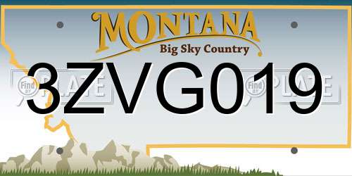 3ZVG019 Montana License Plate