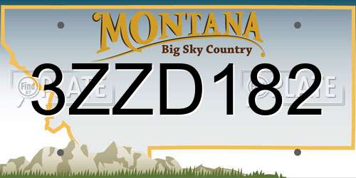 3ZZD182 Montana License Plate