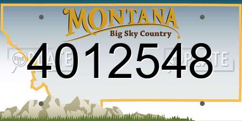 4012548 Montana License Plate