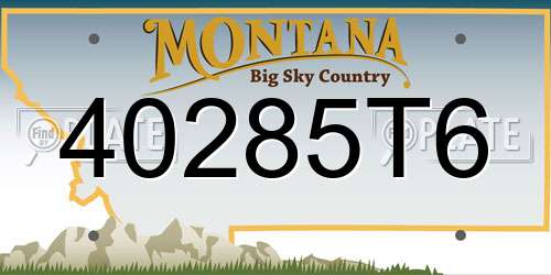 40285T6 Montana License Plate