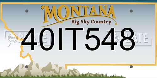 40IT548 Montana License Plate